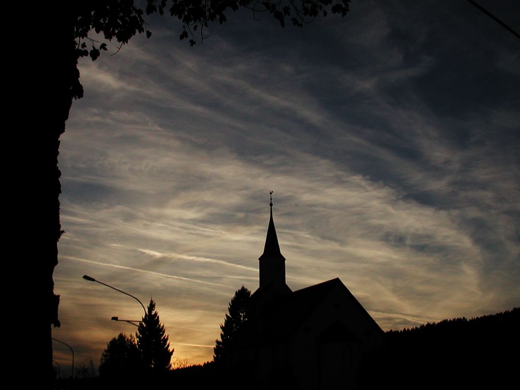 vbourrut014